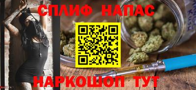 спиды Кинель