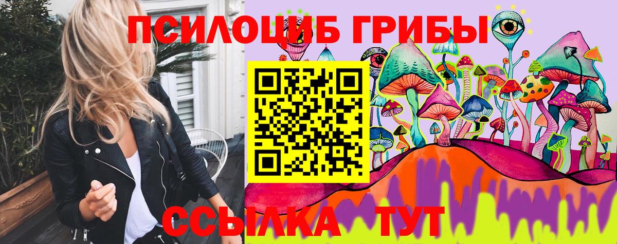 Псилоцибиновые грибы Cubensis  наркошоп  Элиста  Вход с VPN 